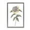Stupell Industries Camellia Flower Illustration Floating Frame, design by Cecilia Battaini